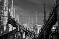 IMG_0112