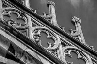 IMG_0101