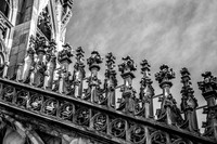 IMG_0028-2
