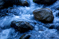 IMG_1361