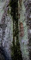 rcs_Yosemite_12