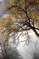 untitled-6390