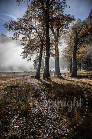 untitled-6407