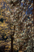 untitled-6904