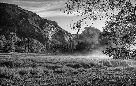 untitled--2 copy 4