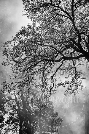untitled--3 copy