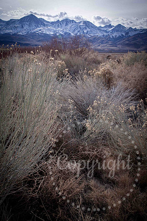 Death Valley, California