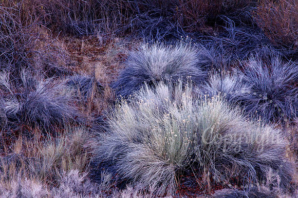 Death Valley, California
