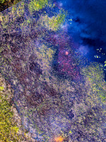 untitled-2-2 copy