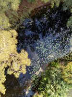 DJI_20260717090334_0028_D copy