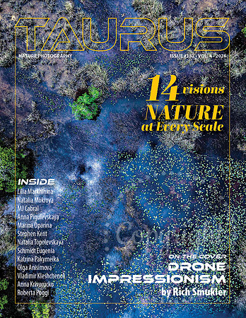 Taurus_Nature - August 2026