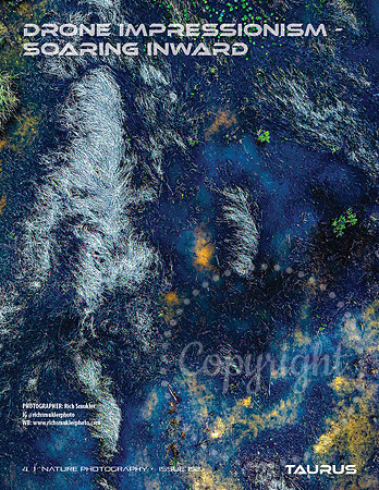 Taurus_Nature_1524