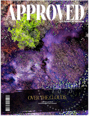 Approved - June 2026