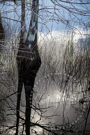 National Park Photography - Landscape and Fine Art Photography from Florida
