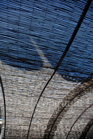 Abstract Fine Art  and Landscape Photography available from California