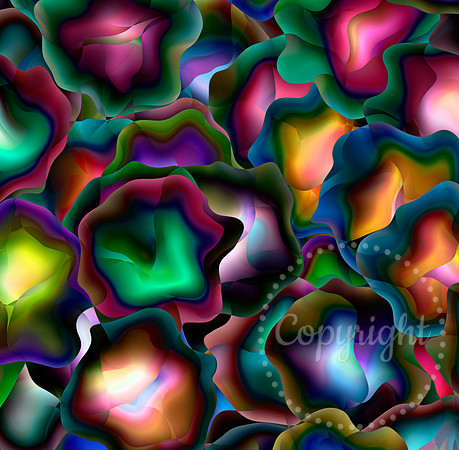 Florida Abstract - Landscape and Fine Art Photographer