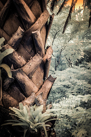 Landscape Fine Art Photography in Florida - Beach Scenes Florida