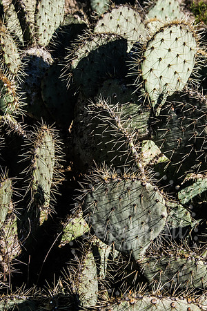 Landscape -  Fine Art - Abstract Photography in Mexico