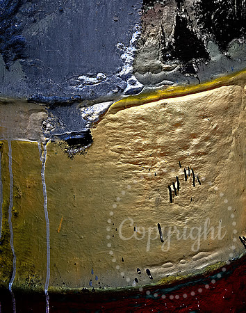 Art Photography from South Florida