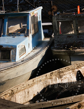 Marine Photography in  Clewiston, Florida