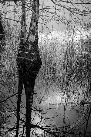 National Park Photography - Landscape and Fine Art Photography from Florida