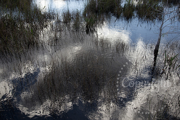 National Park Photography - Landscape and Fine Art Photography from Florida