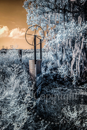 Infrared Landscape and Floral Photography in Florida