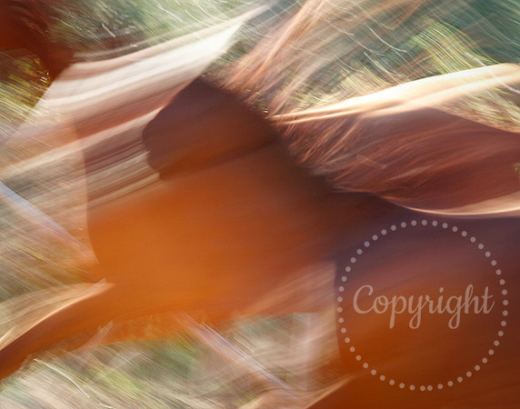 Art Photography from Tuscany