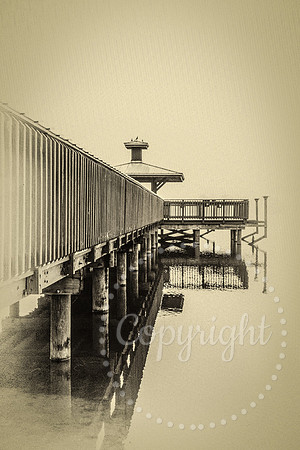 Foggy Morn #1