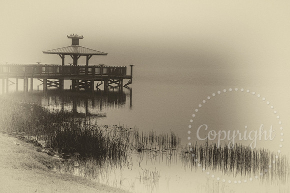 Foggy Morn #2