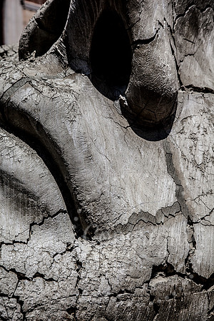 Northern Tuscan Italian Landscape and Fine Art Photography