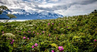 National Park Photography - Landscape and Fine Art Photography from Alaska