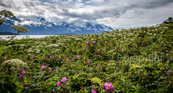 National Park Photography - Landscape and Fine Art Photography from Alaska