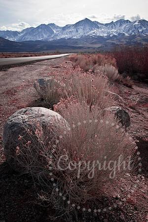 National Park Photography - Landscape and Fine Art Photography from Death Valley