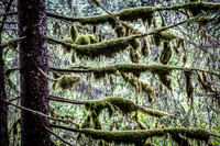 National Park Photography - Landscape and Fine Art Photography from Alaska