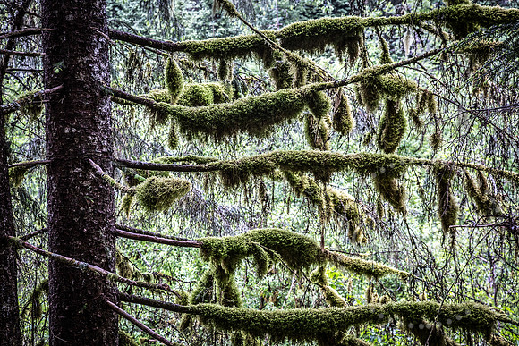 National Park Photography - Landscape and Fine Art Photography from Alaska
