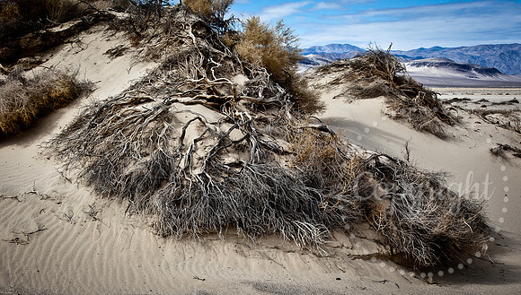 National Park Photography - Landscape and Fine Art Photography from Death Valley