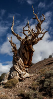 Dramatic Fine Art and Landscape Photography of The Eastern Sierras Mountains.