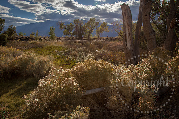 Dramatic Fine Art and Landscape Photography of The Eastern Sierras Mountains.
