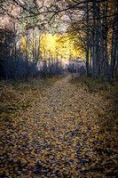 Dramatic Fine Art and Landscape Photography of The Eastern Sierras Mountains.