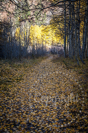 Dramatic Fine Art and Landscape Photography of The Eastern Sierras Mountains.