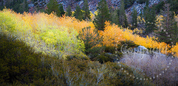 Dramatic Fine Art and Landscape Photography of The Eastern Sierras Mountains.
