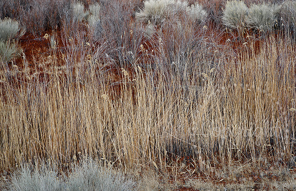 Dramatic Fine Art and Landscape Photography of The Eastern Sierras Mountains.
