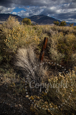 Dramatic Fine Art and Landscape Photography of The Eastern Sierras Mountains.
