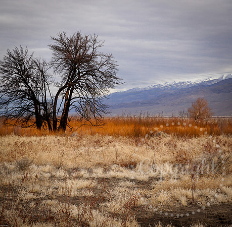Dramatic Fine Art and Landscape Photography of The Eastern Sierras Mountains.
