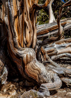 Dramatic Fine Art and Landscape Photography of The Eastern Sierras Mountains.