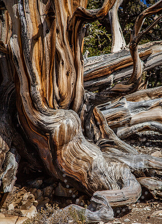 Dramatic Fine Art and Landscape Photography of The Eastern Sierras Mountains.