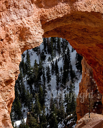 American Landscape Photography in The Southwest