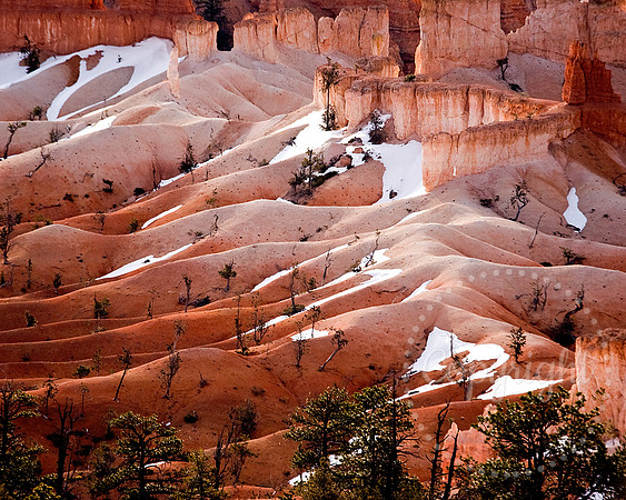 American Landscape Photography in The Southwest