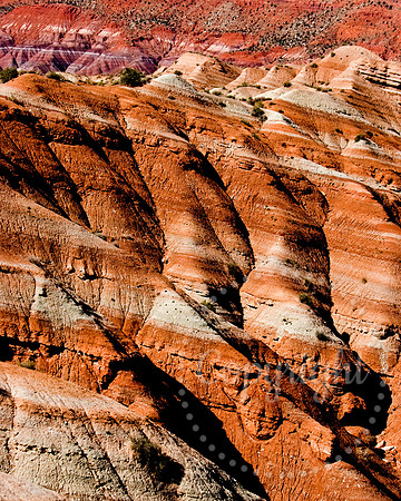 American Landscape Photography in The Southwest